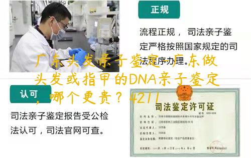 广东头发亲子鉴定-广东做头发或指甲的DNA亲子鉴定，哪个更贵？4211