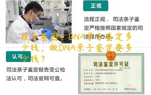 核子基因：DNA亲子鉴定多少钱，做DNA亲子鉴定要多少钱？