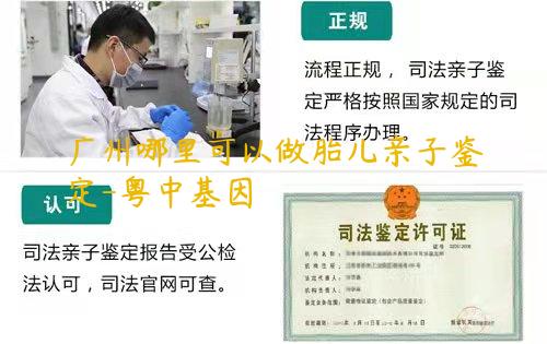 广州哪里可以做胎儿亲子鉴定-粤中基因