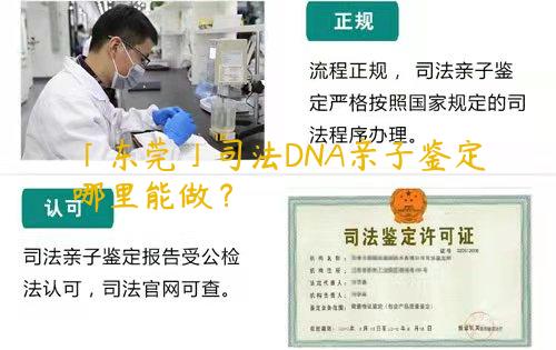 「东莞」司法DNA亲子鉴定哪里能做？
