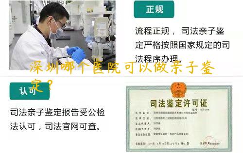 深圳哪个医院可以做亲子鉴定？
